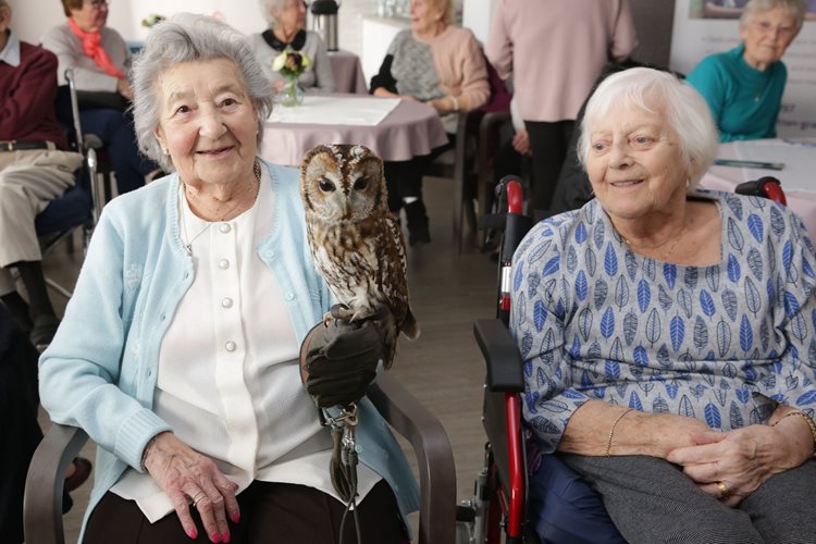 Bird is the word! Leamington Spa care home residents spread their wings to celebrate the best of British birds